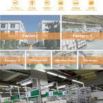 Automatische Huisdier Voerdispenser met Camera