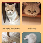 Houten Katten- en Hondenbed – Indoor Pet Bed met Teddybeer-Patroon, Comfortabel & Duurzaam