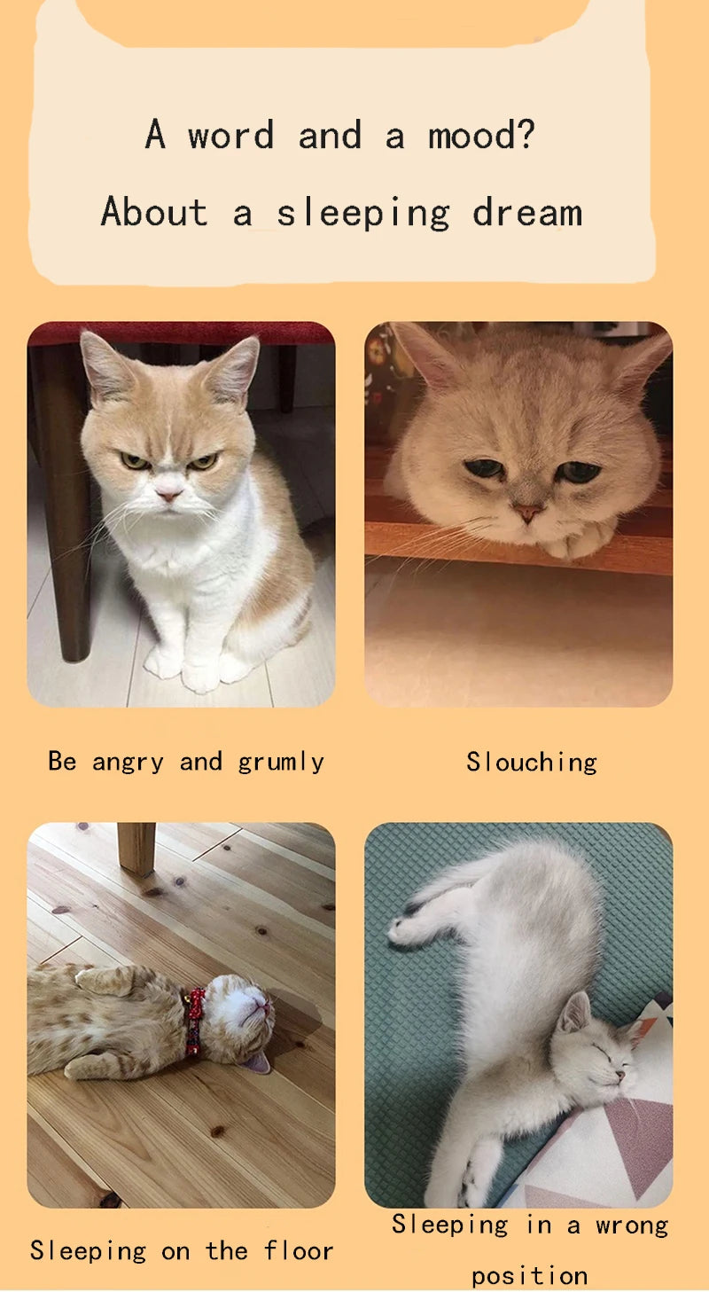 Houten Katten- en Hondenbed – Indoor Pet Bed met Teddybeer-Patroon, Comfortabel & Duurzaam