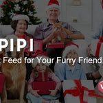 Automatische Huisdier Voerdispenser met Camera